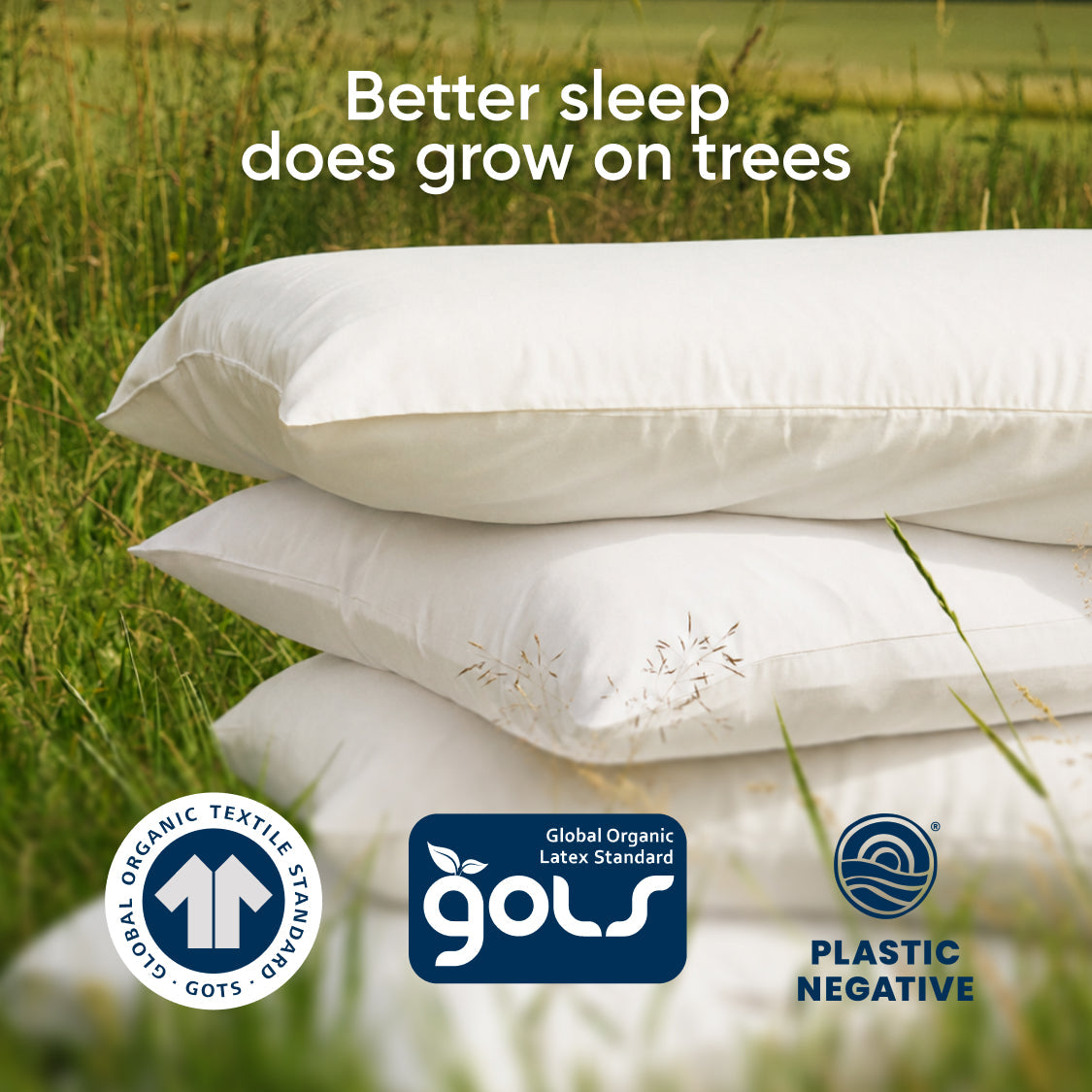 GOTS & GOLS Certified AURTRS organic latex pillow